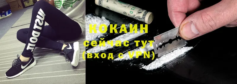 Cocaine FishScale  Ковров 